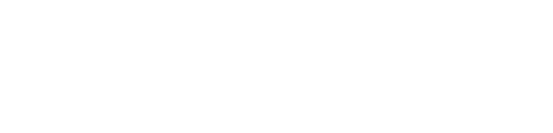 Grupo Sinop
